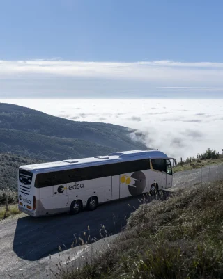 t_turistico